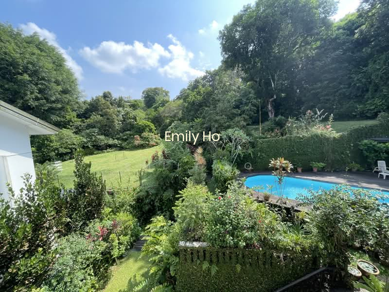 RARE!! ELEVATED LUSH GREENERY FACING! image 1 of 8