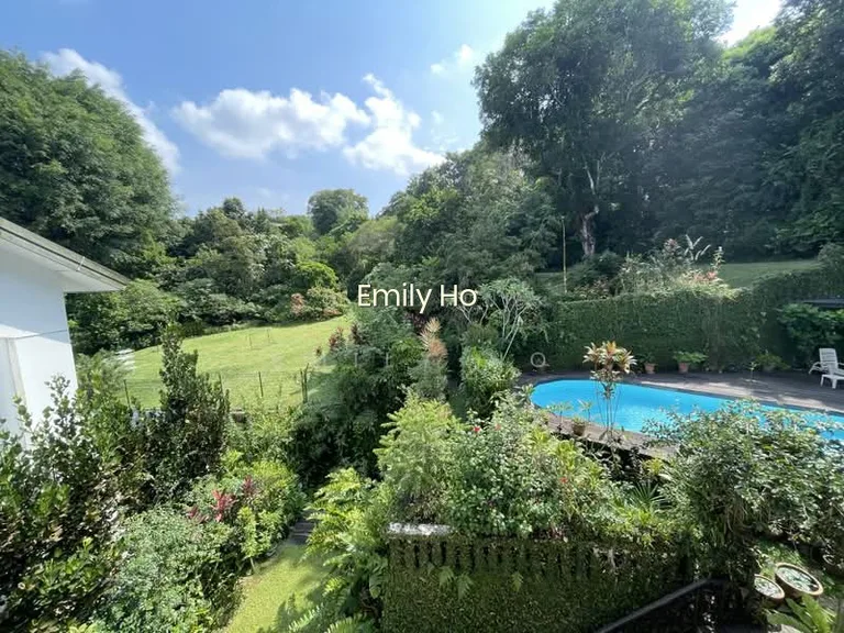Rare! Elevated Lush Greenery Facing! image 1 of 8