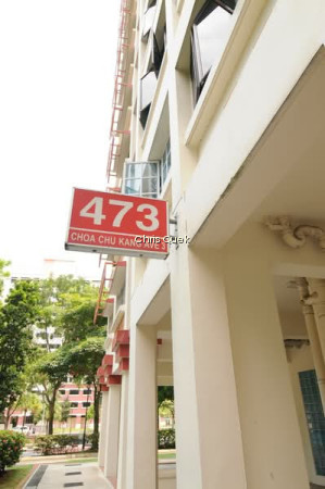 473 CHOA CHU KANG AVENUE 3 photo 6