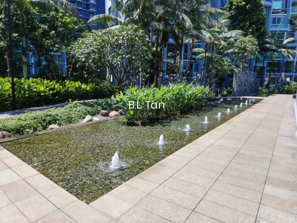 BOTANNIA photo 5