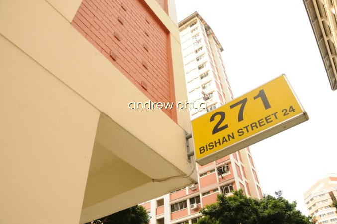 271 BISHAN STREET 24 photo 6