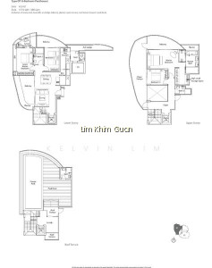 LUCIDA photo 4