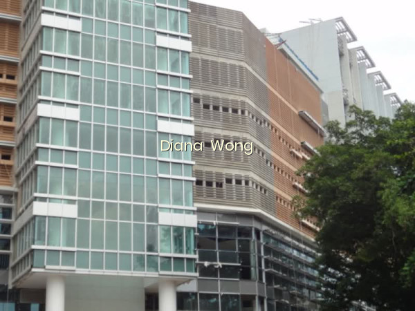 THE ROCHESTER RESIDENCES photo 6