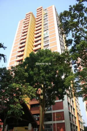 532 JURONG WEST STREET 52 photo 6