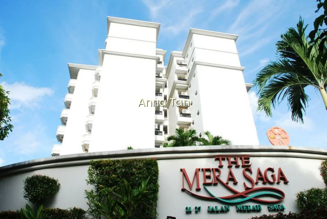 THE MERASAGA photo 6