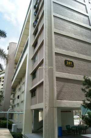 381 CLEMENTI AVENUE 5 photo 5