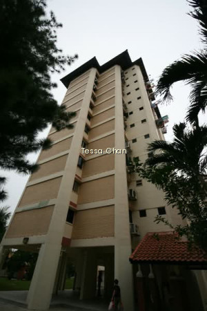 243 JURONG EAST STREET 24 photo 4