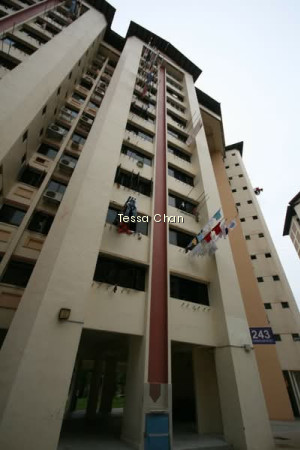 243 JURONG EAST STREET 24 photo 5