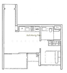 THE INFLORA photo 4