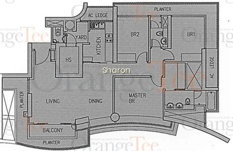 THE ORION photo 4