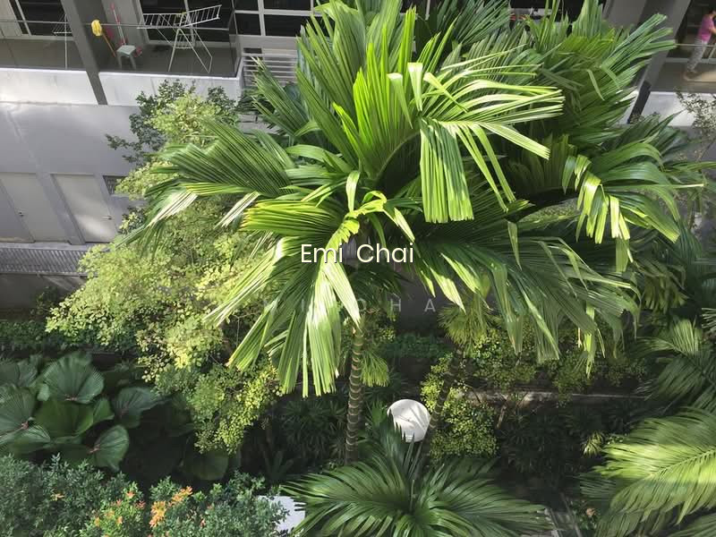 NATHAN RESIDENCES photo 2