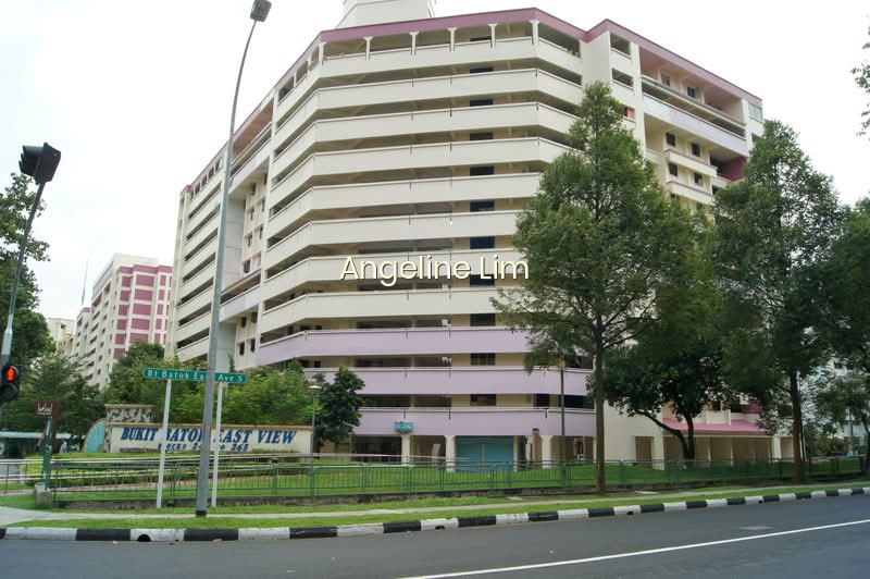 242 BUKIT BATOK EAST AVENUE 5 photo 3
