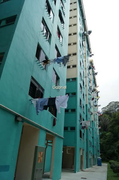 43 TELOK BLANGAH RISE photo 4