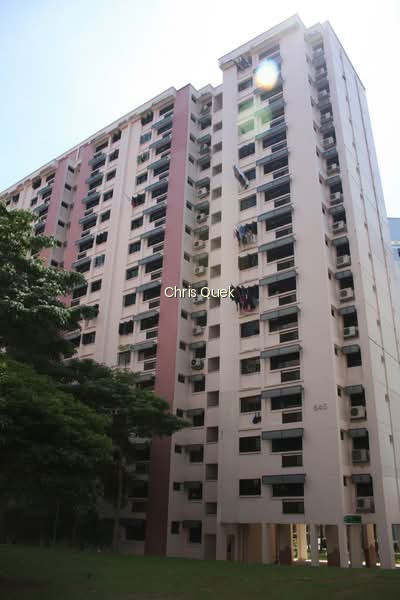 645 JURONG WEST STREET 61 photo 2