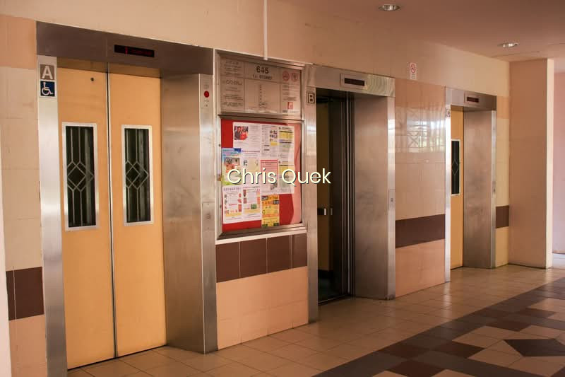 645 JURONG WEST STREET 61 photo 3
