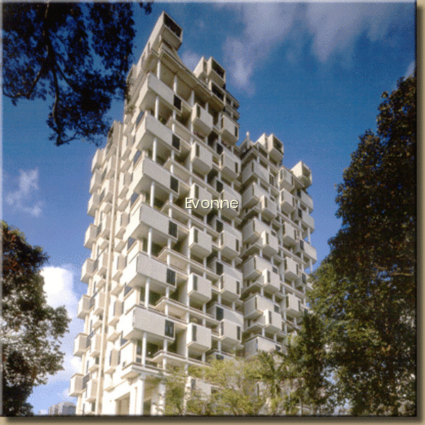 THE COLONNADE photo 3