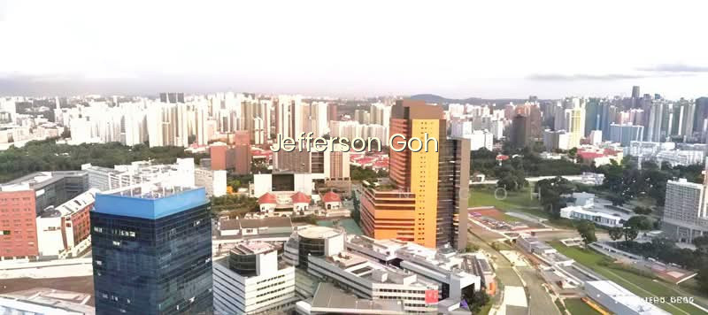 PINNACLE @ DUXTON photo 2