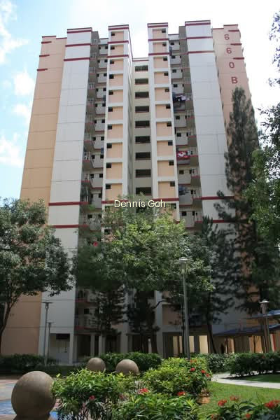 660B JURONG WEST STREET 64 photo 5