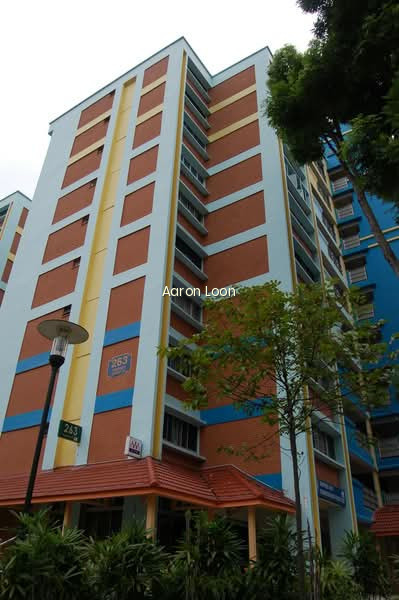 263 TAMPINES STREET 21 photo 5