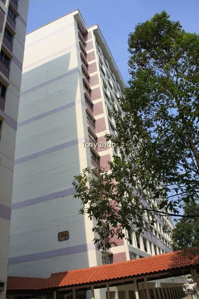 471 JURONG WEST STREET 41 photo 5