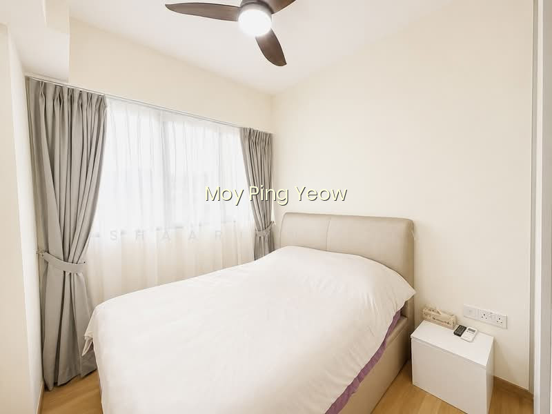 THE GAZANIA photo 6