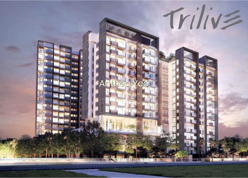 TRILIVE photo 3