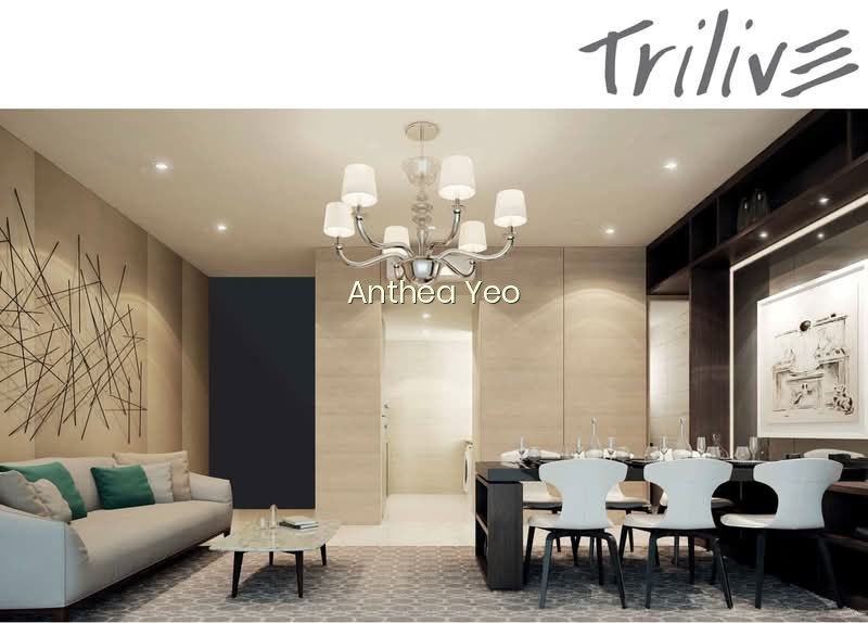 TRILIVE photo 4