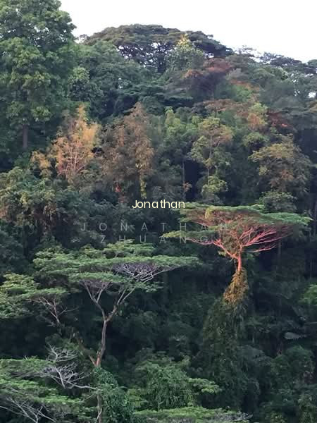 60 TELOK BLANGAH HEIGHTS image 1 of 10