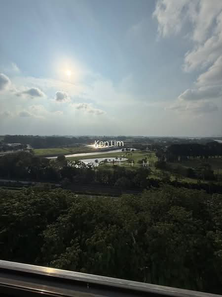 452 CHOA CHU KANG AVENUE 4 photo 2