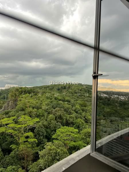 REGENT HEIGHTS photo 5