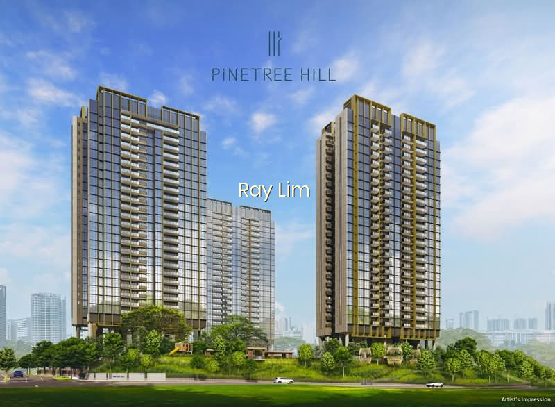 PINETREE HILL photo 5