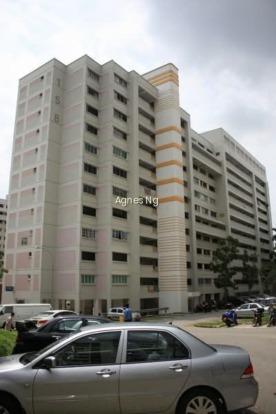 158 WOODLANDS STREET 13 photo 4