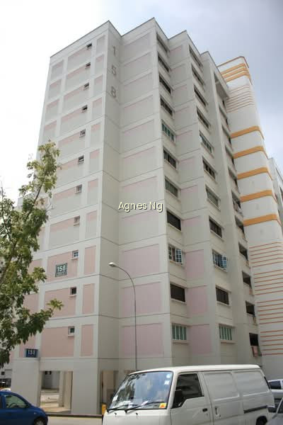 158 WOODLANDS STREET 13 photo 5