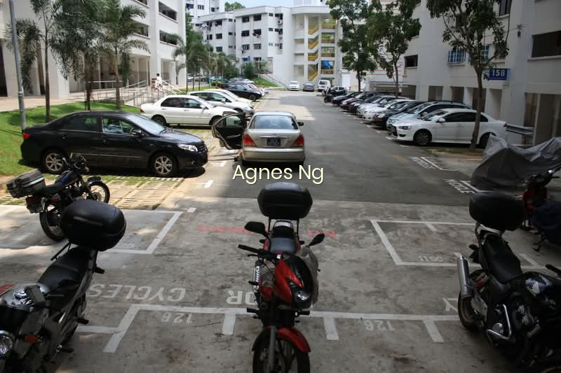 158 WOODLANDS STREET 13 photo 6