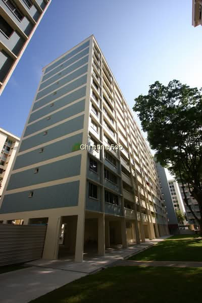 234 SERANGOON AVENUE 3 photo 2