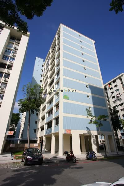234 SERANGOON AVENUE 3 photo 4