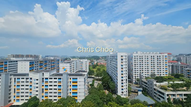 706 JURONG WEST STREET 71 photo 6