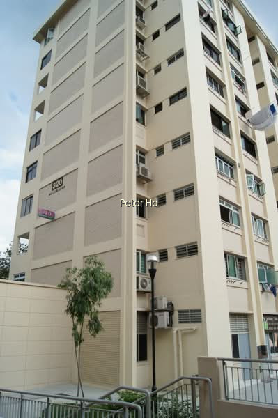 320 CLEMENTI AVENUE 4 photo 5