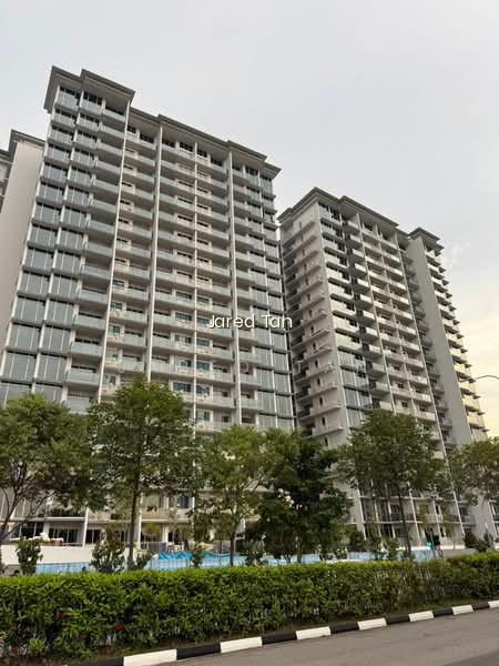 GRAND DUNMAN photo 2