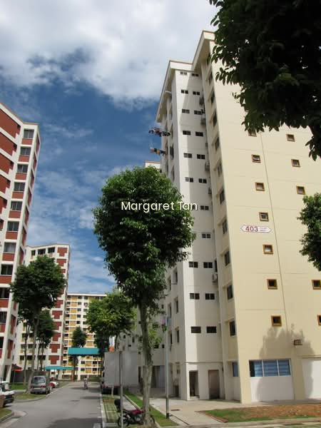 403 FAJAR ROAD photo 6