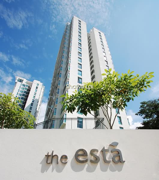 THE ESTA photo 6
