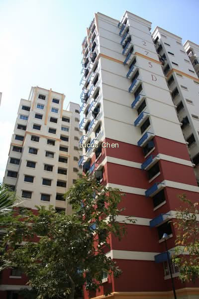 275D JURONG WEST STREET 25 photo 2