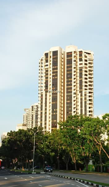 BAYSHORE PARK photo 6