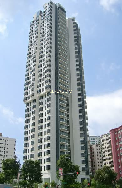 URBANA photo 6
