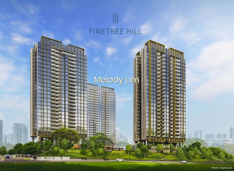 PINETREE HILL photo 5