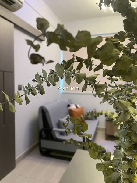 SUITES@BRADDELL photo 5
