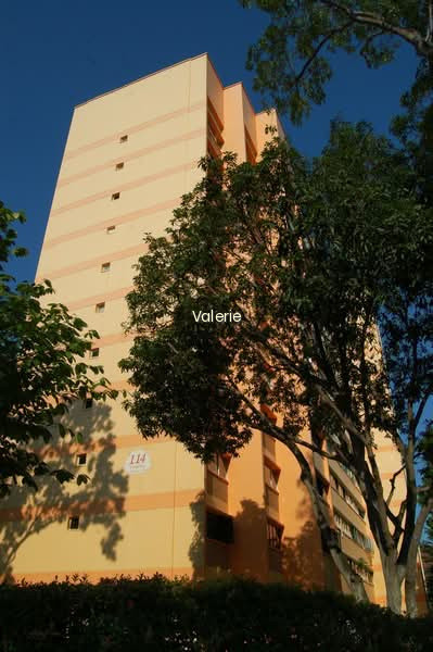 114 TAMPINES STREET 11 photo 5