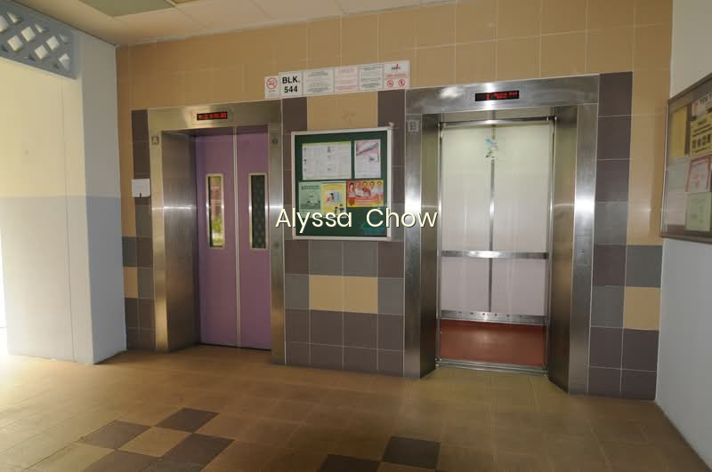 544 CHOA CHU KANG STREET 52 photo 6