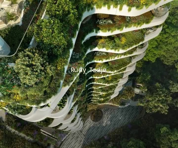 PARK NOVA photo 4