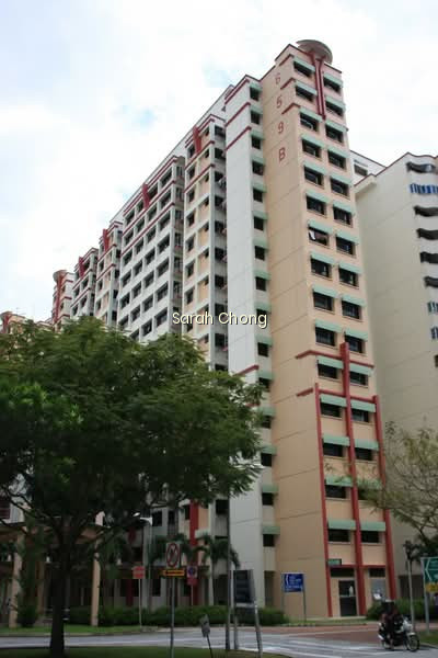 659B JURONG WEST STREET 65 photo 5